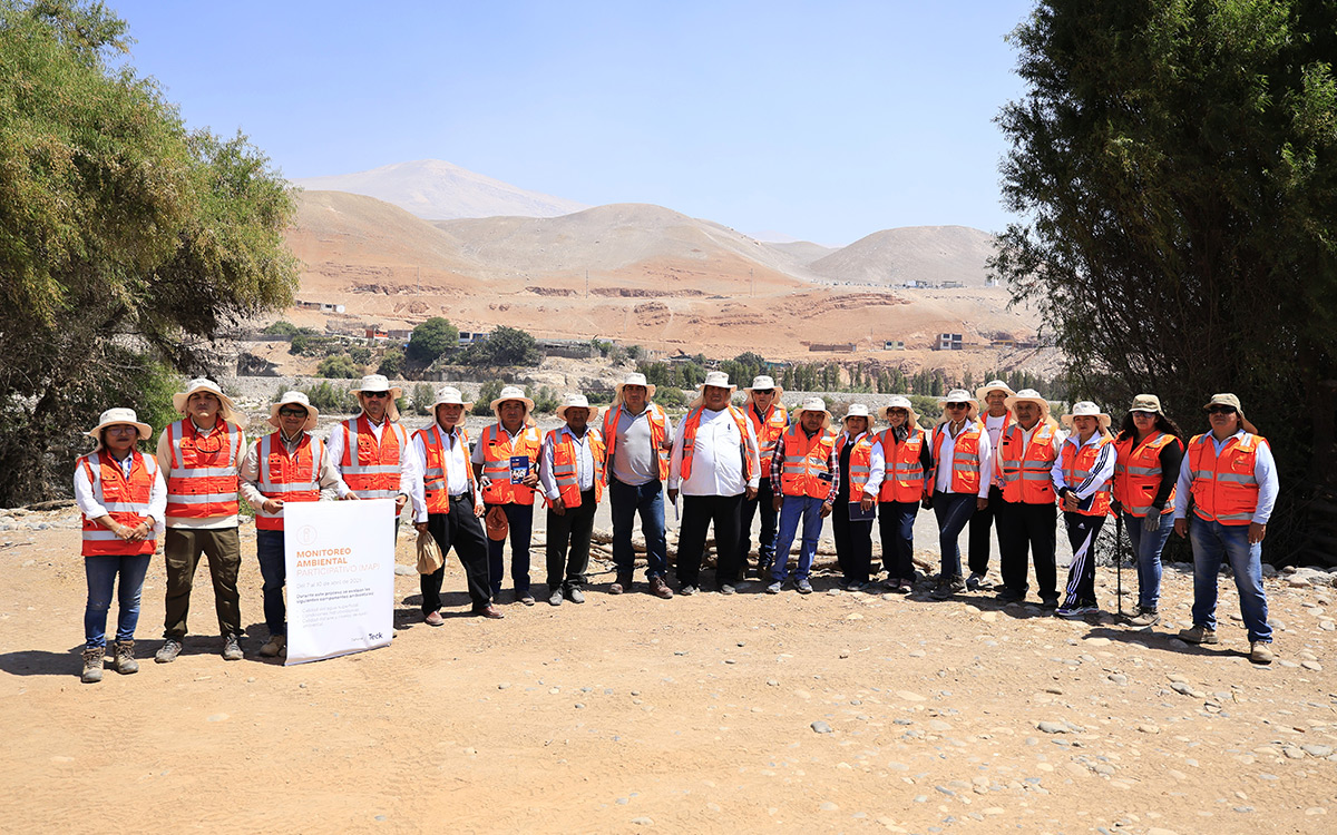 proyecto Zafranal