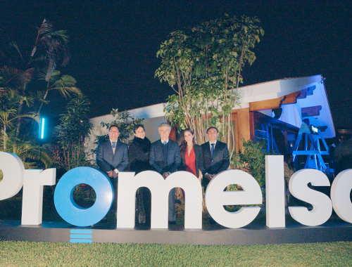 Promelsa