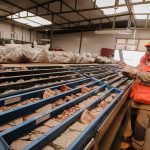 Exportaciones mineras