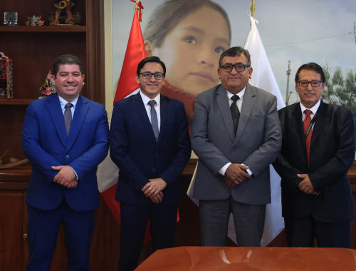 MINEM articula acciones con SEAL para impulsar proyectos eléctricos estratégicos en el sur del país