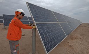 Cartera de proyectos