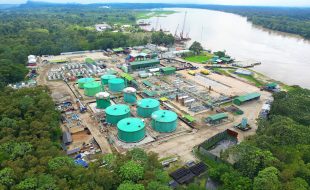 PetroTal