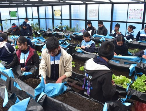 Sodexo refuerza su liderazgo en gestión ambiental junto a sus socios estratégicos en minería