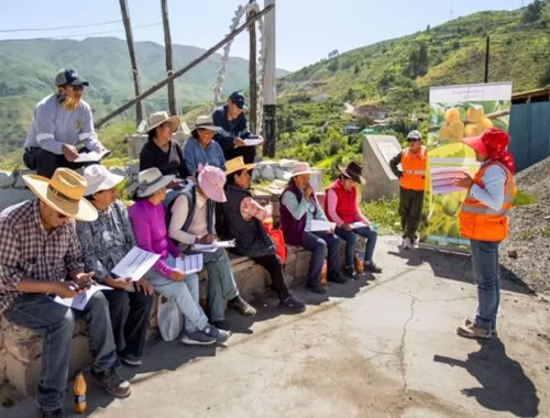 Southern Perú fortalece la producción agrícola de palta y damasco en Torata